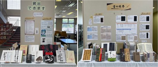 展示写真